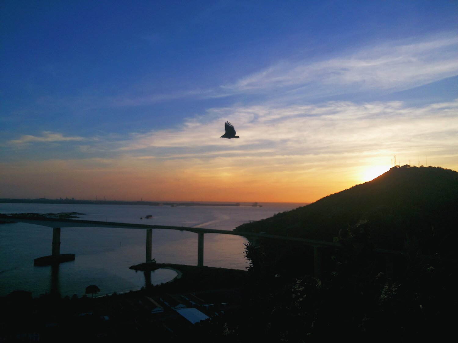 Photo #1769687