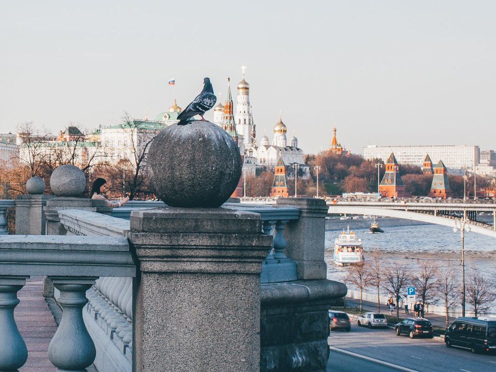Московский голубь с видом на Кремль