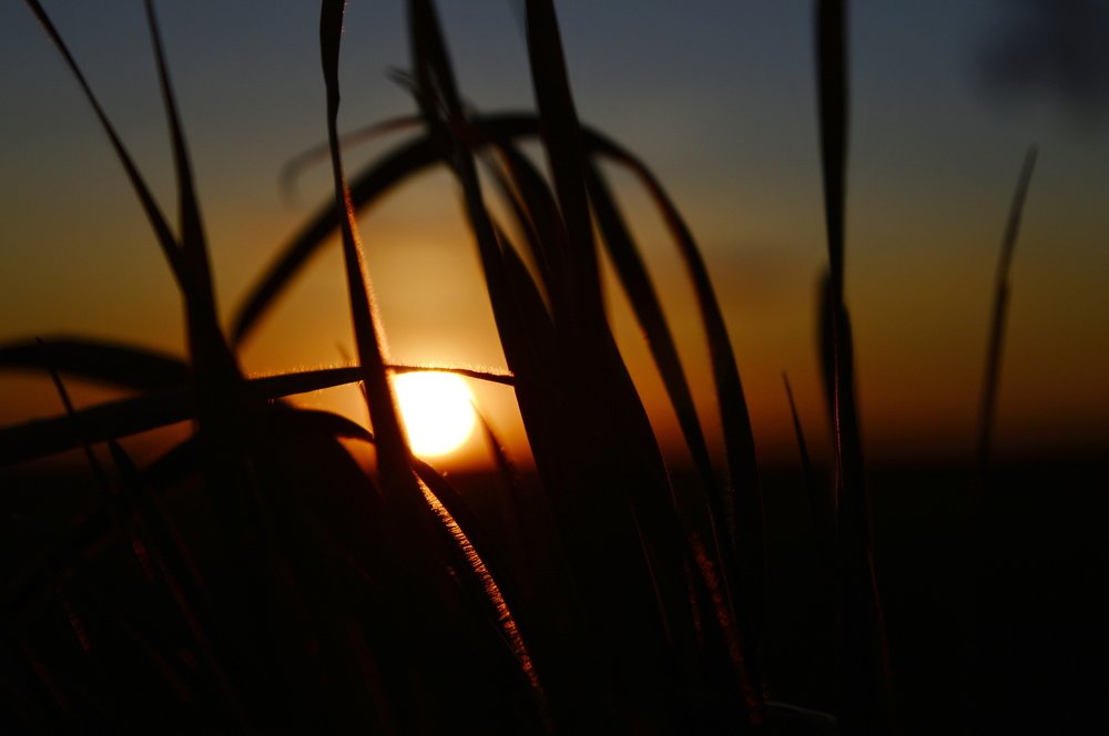 Photograph by Павловец Максим