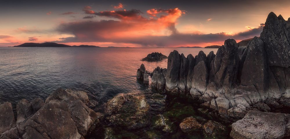 Годзилла на прогулке