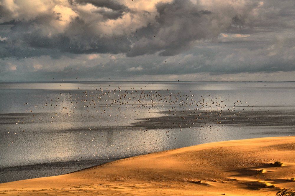 Photograph by Елена Боржковская