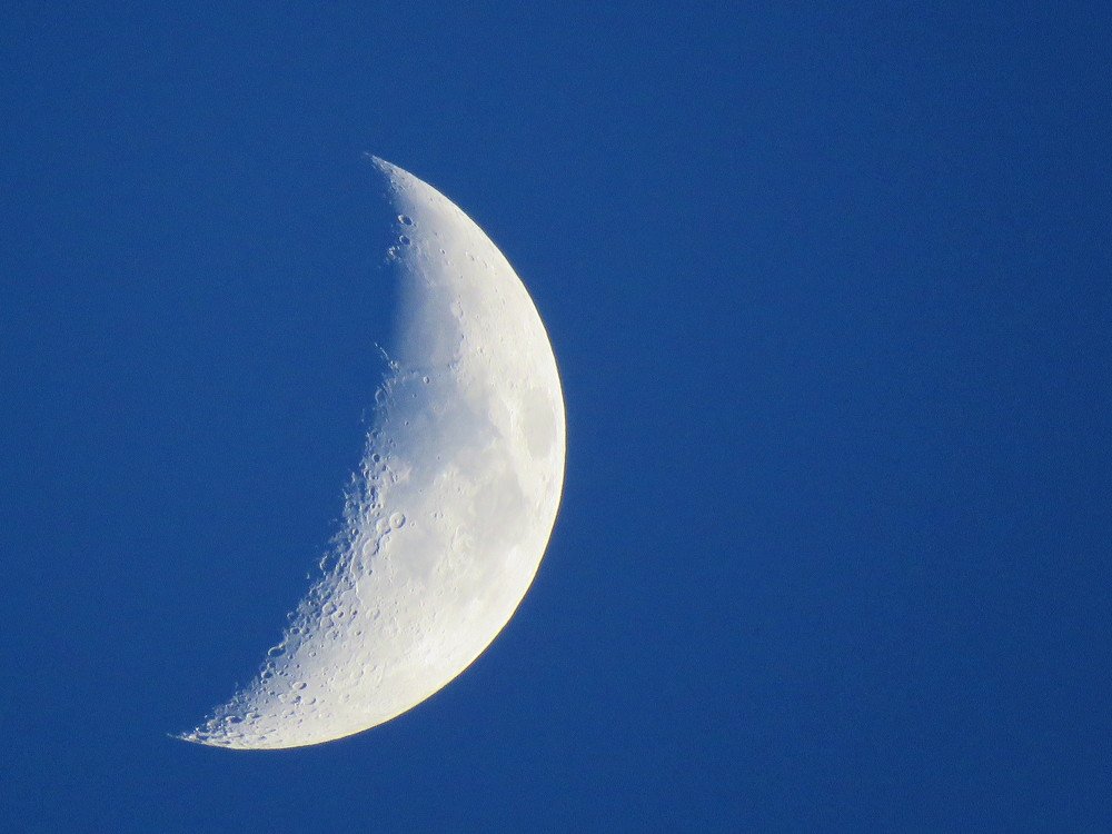 Daylight Moon