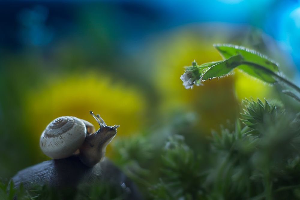 На встречу приключениям