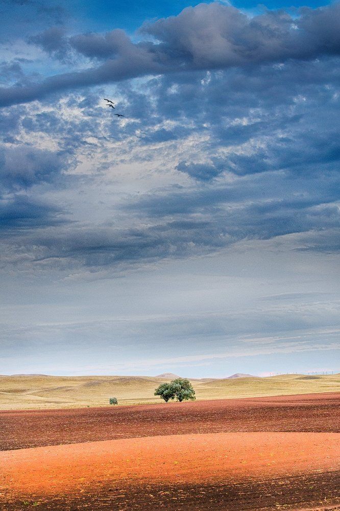 Красное и синее.