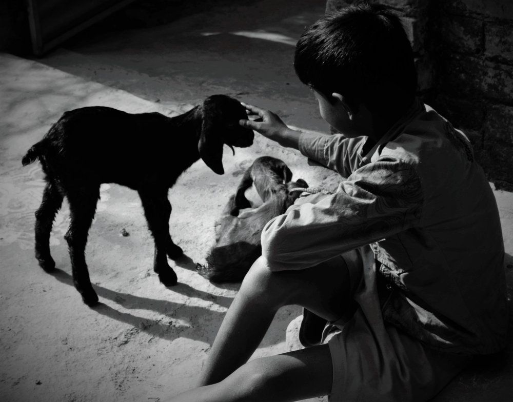 OTHER NAME OF CHILDHOOD IS SIMPLICITY