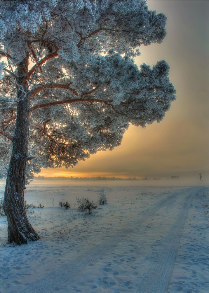 Рождение нового дня