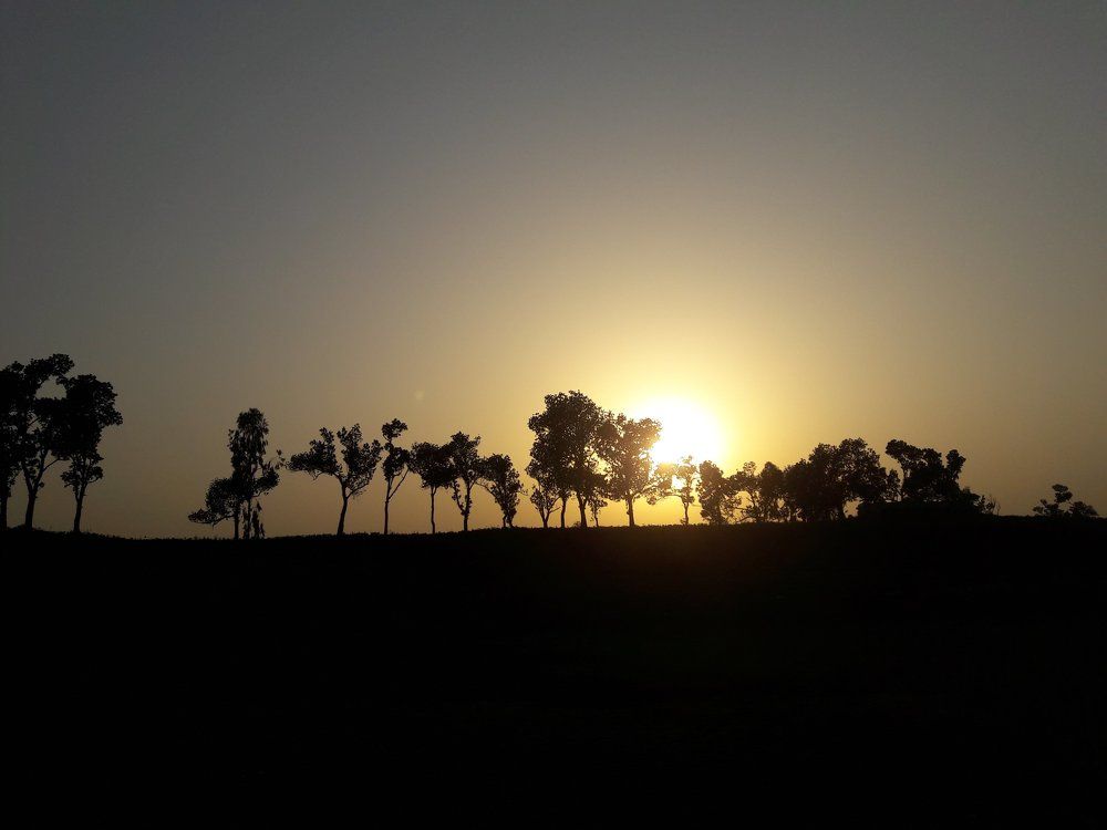 Sunset