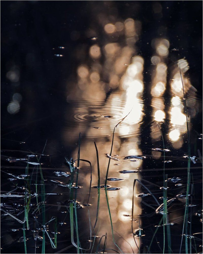 Рисунки на воде