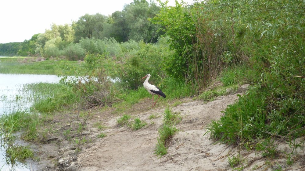 какая я красивая