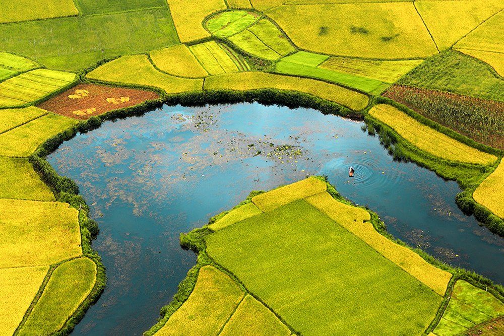 The colors of autumn.