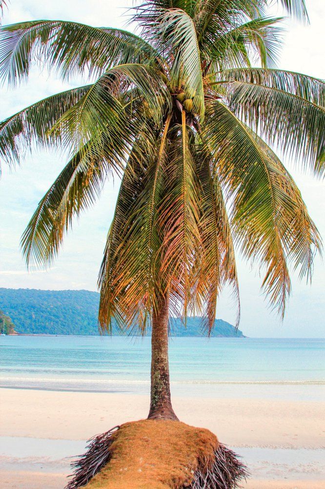 Photograph by Svetlana