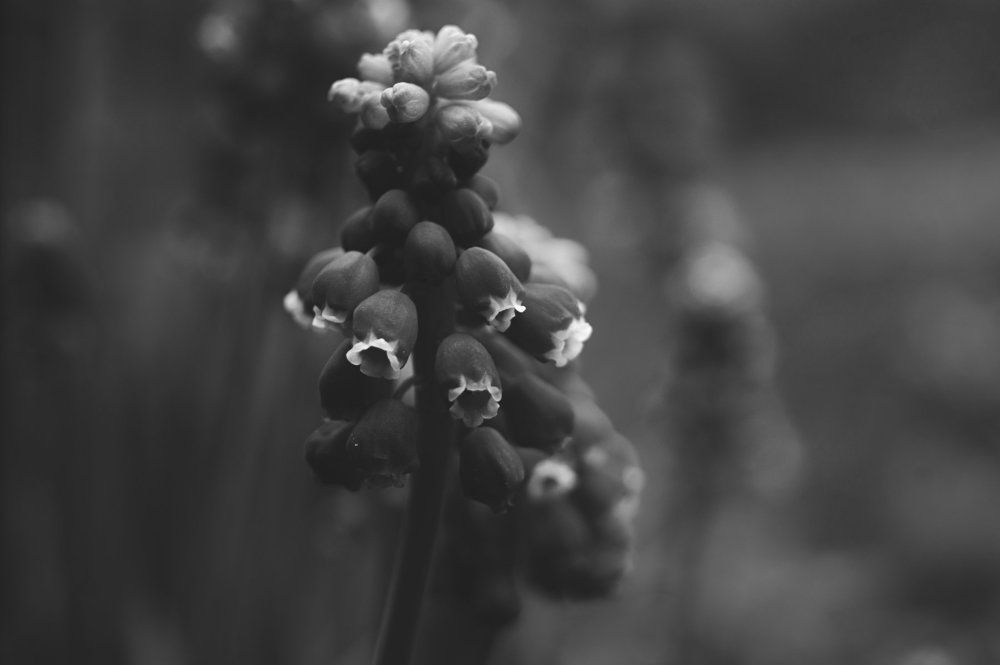 Photograph by Белых Аня