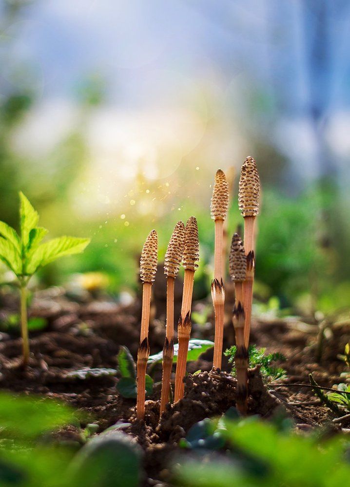 Photograph by Чернякова Анна