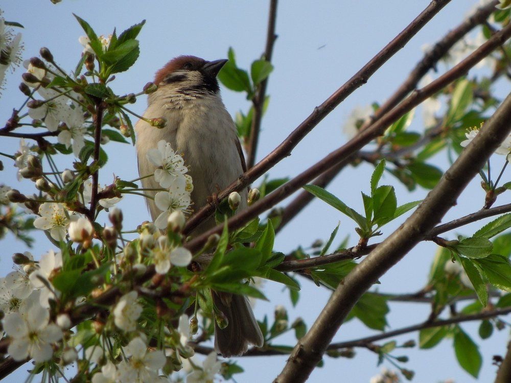 Photograph by Замазкин Графф
