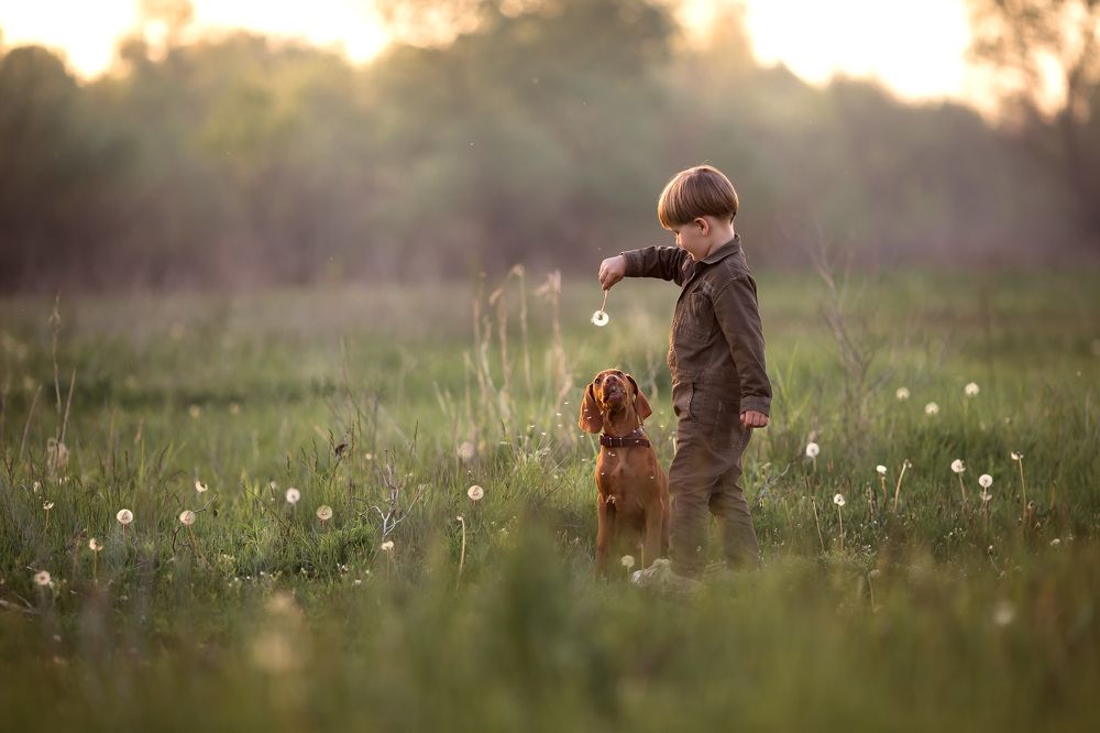 Photograph by Евгения Брусенцова
