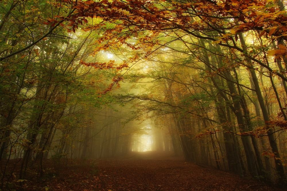 Дорога к свету...