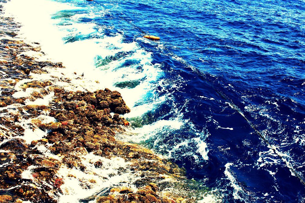 Красное море)