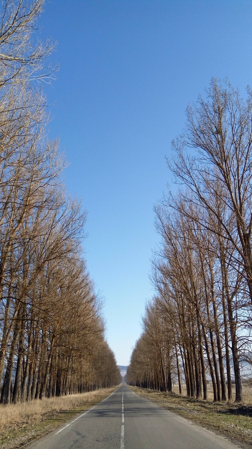 one way