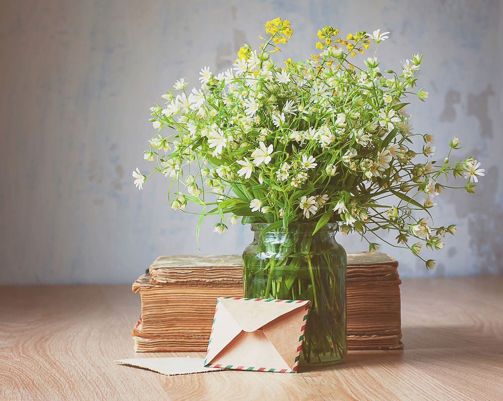 Сентиментальный натюрморт.