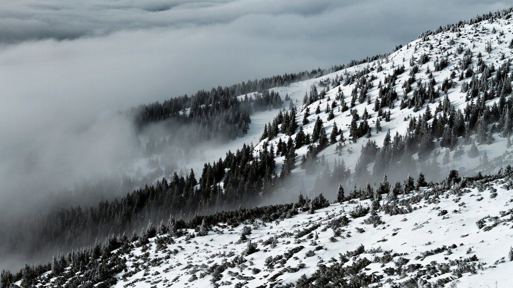 48°02'26.7"N 24°36'53.0"E