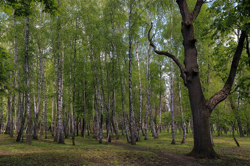 Один в поле не воин
