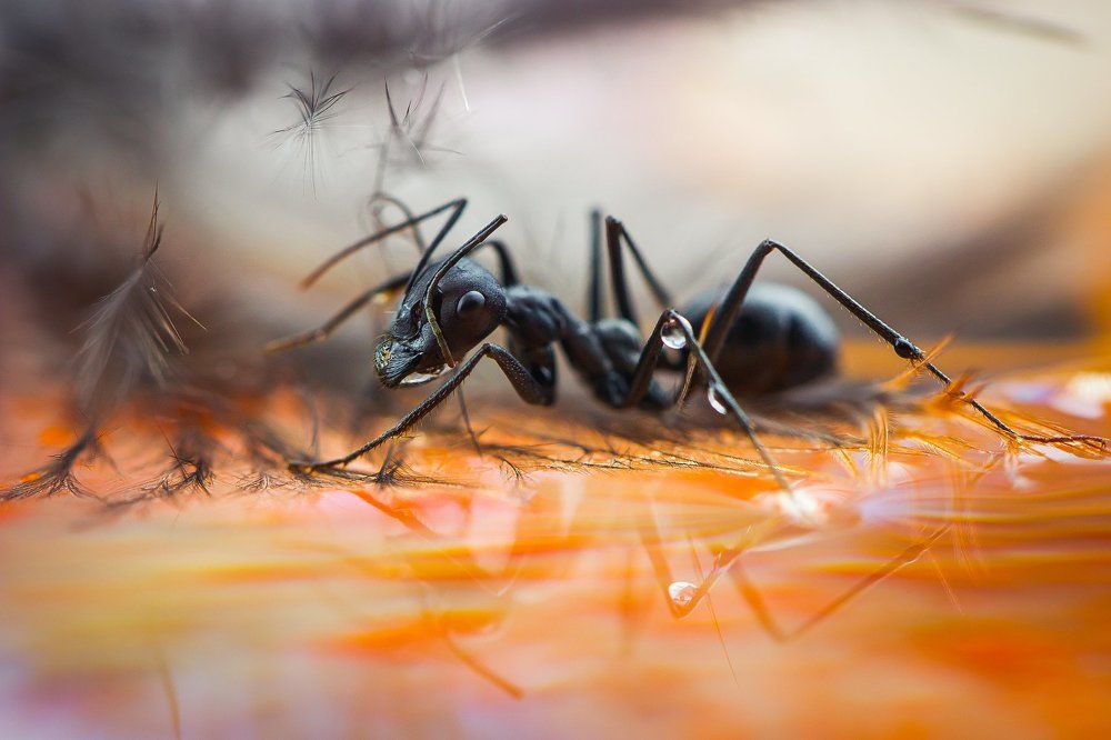 В отражении