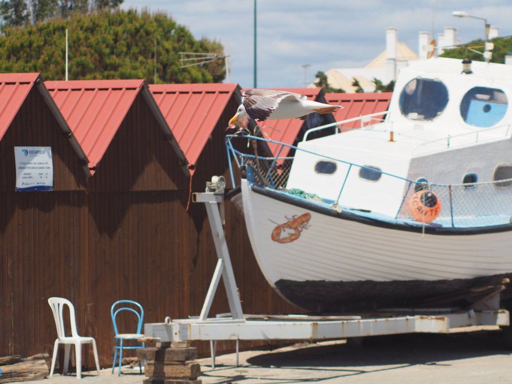 Photograph by Rui Lopes