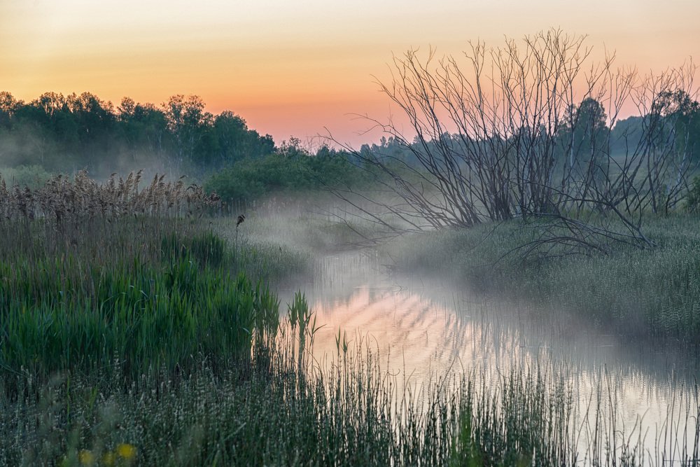 Рассвет за селом