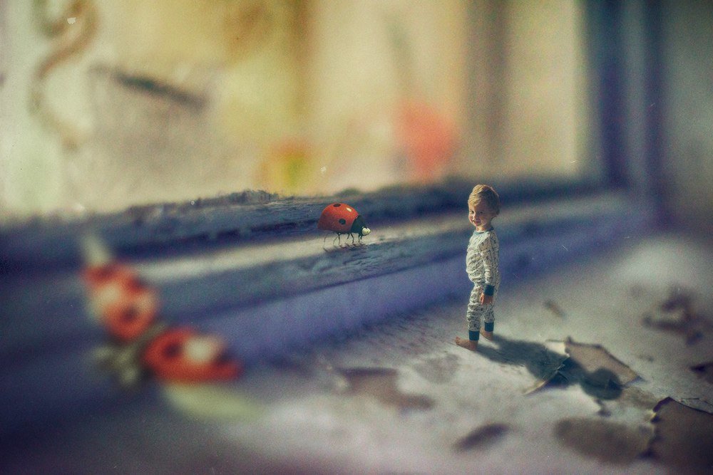 В мире маленьких существ