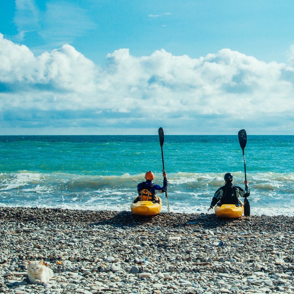 Котик и море