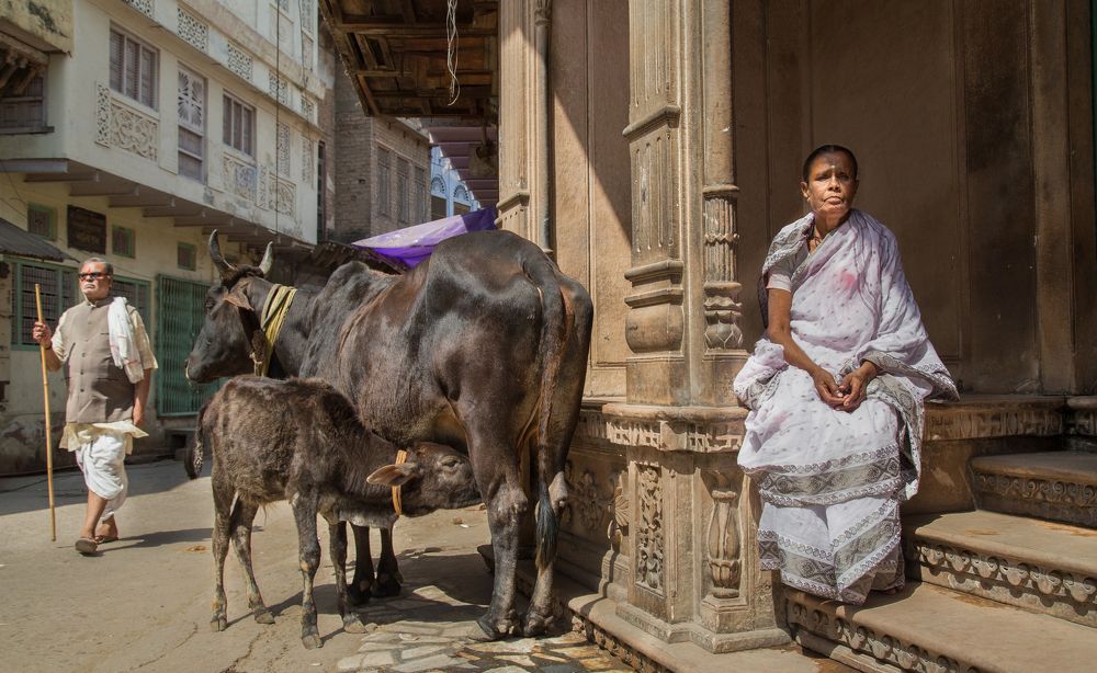 STATIC AND DYANMIC LIFE ON STREET