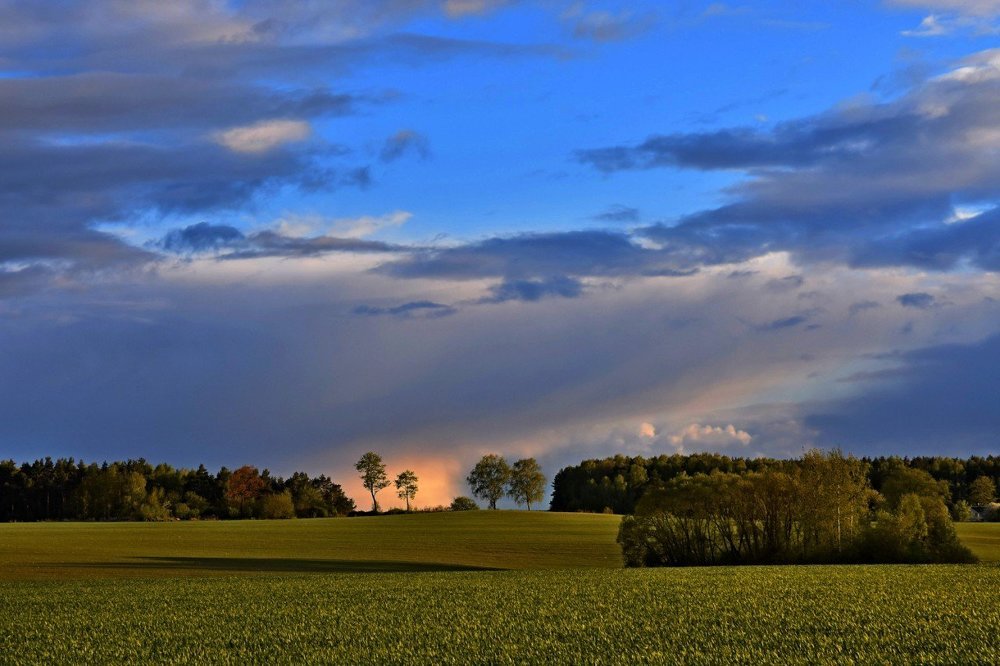 Приятный весенний вечер