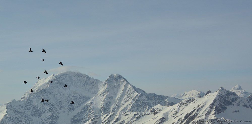 Жизнь на высоте 3800м над уровнем моря.