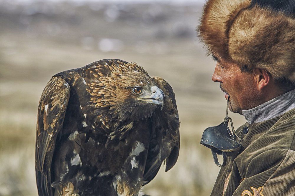 Перед охотой.