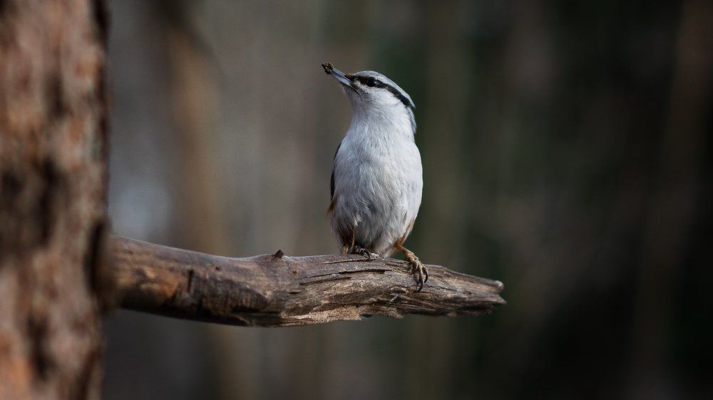 Photograph by Роман Алябьев