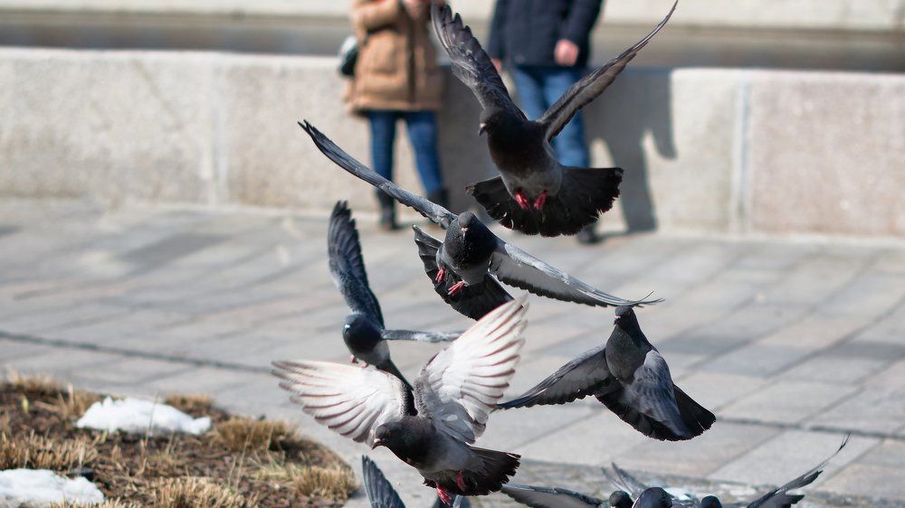 Photograph by Роман Алябьев