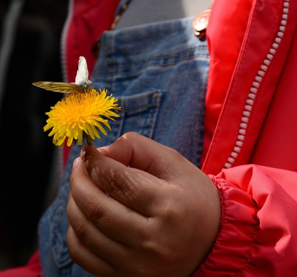 Photograph by Дмитрий Малунин