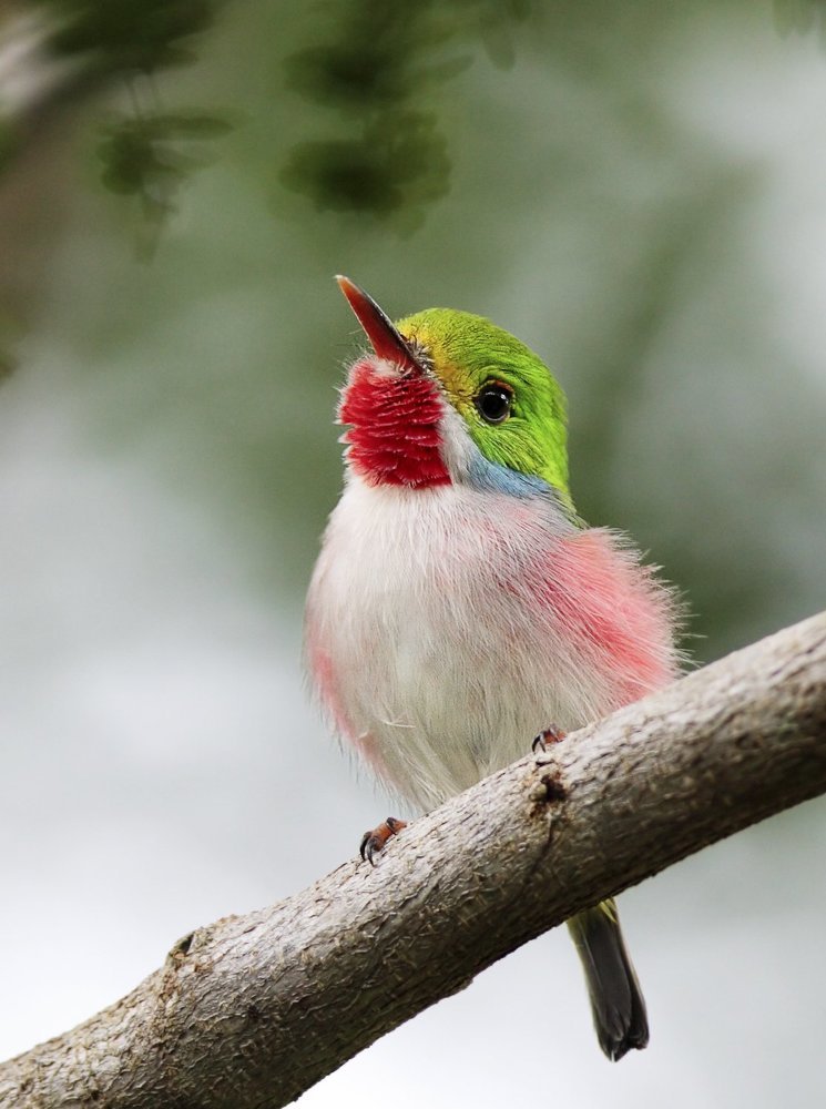 Елочная игрушка