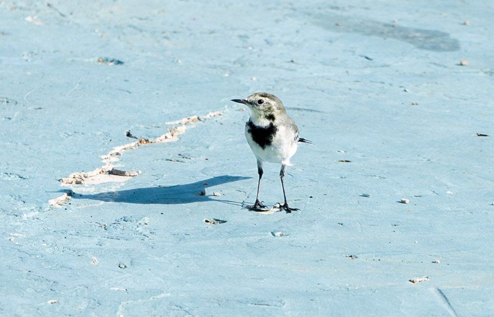 Photograph by Геннадий