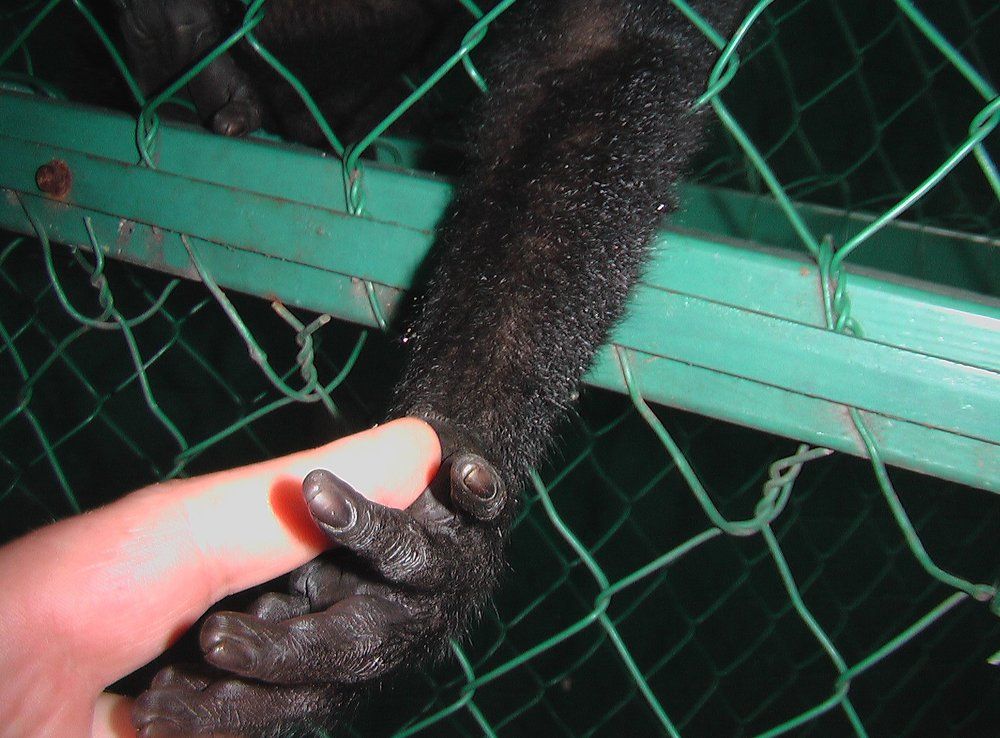 Ты мне нравишься....