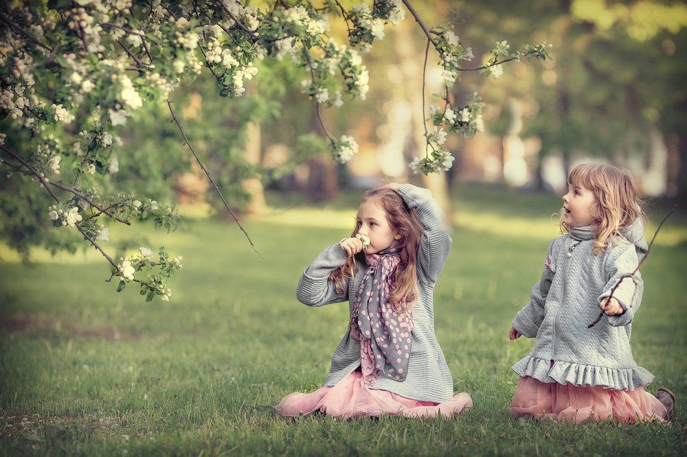 Цветущее дерево