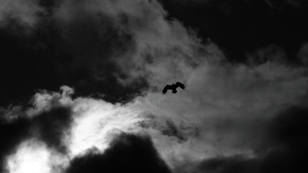 Photograph by Александр Полюдов