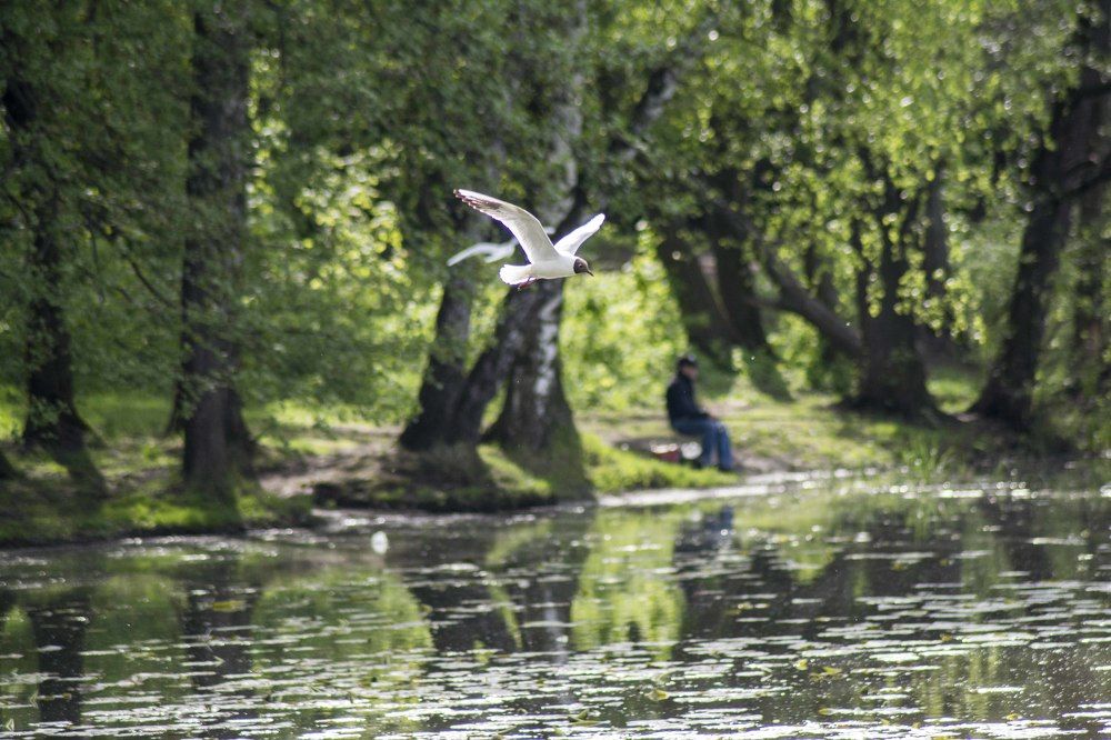 Photograph by Илья Сердитов