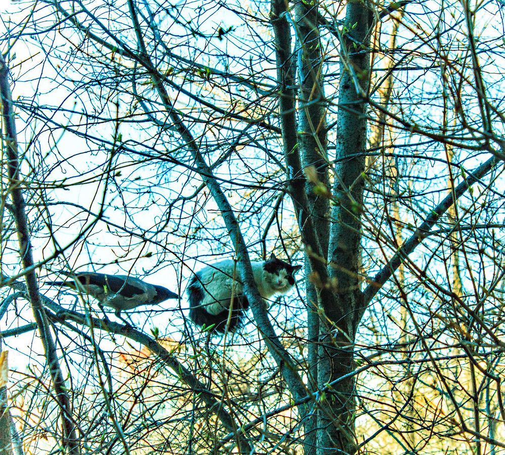 Встреча друзей))))