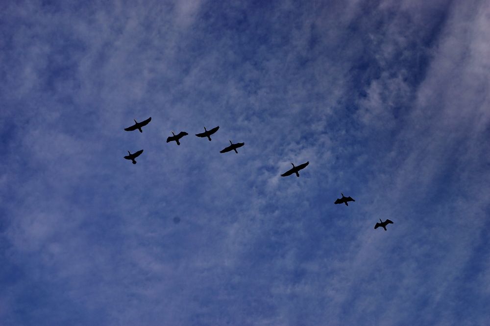 Photograph by Мурат Букаев