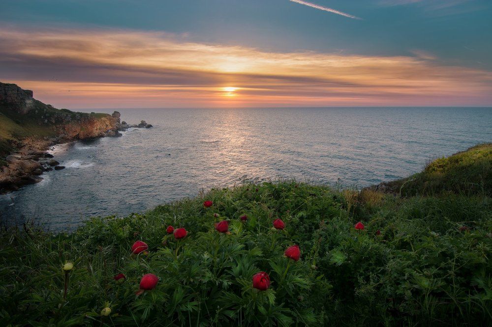 Spring around the sea