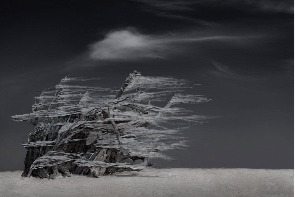 Фотография автора Виктор Кириллов