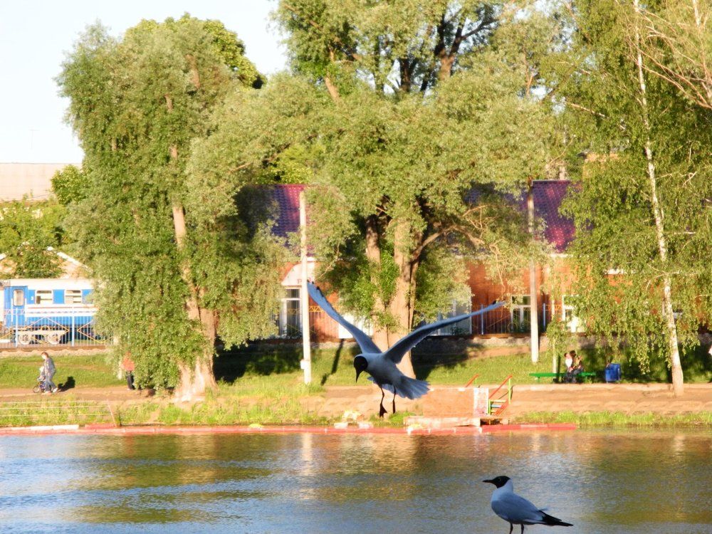 Разбились по парам