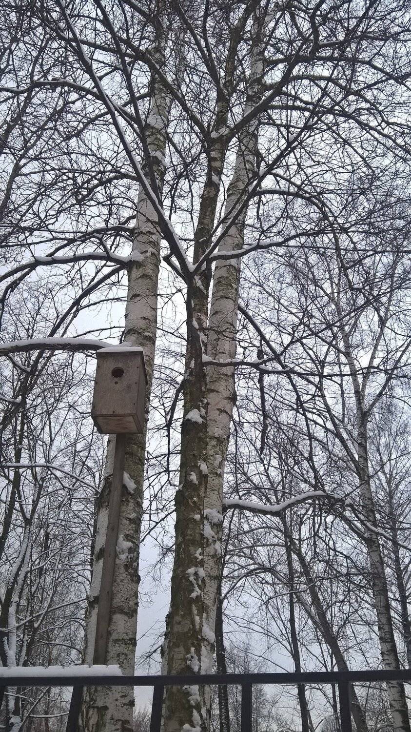 Цвет и свет.