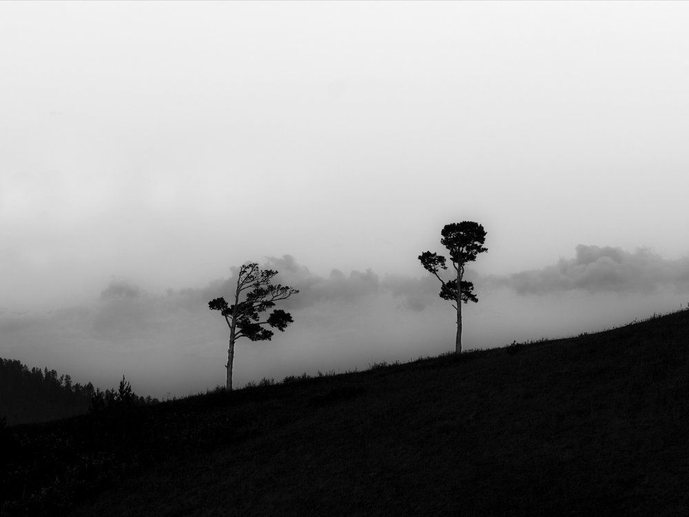 Photograph by Емельянов Саша